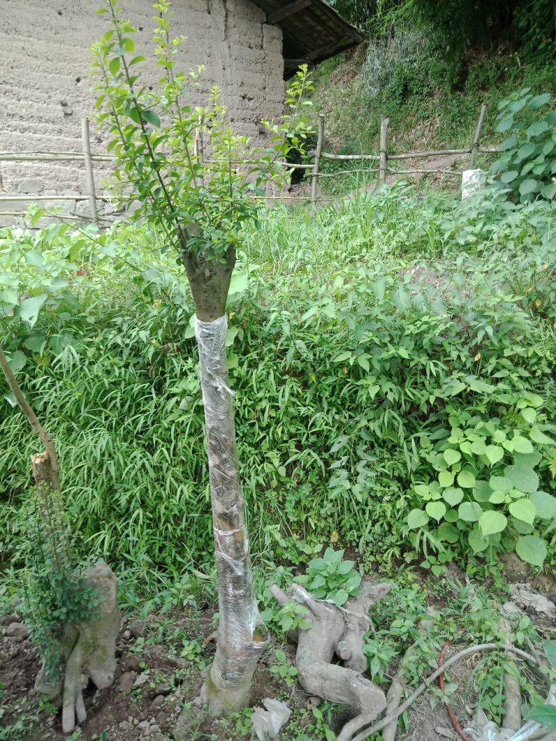 金弹子地景独杆庭院桩