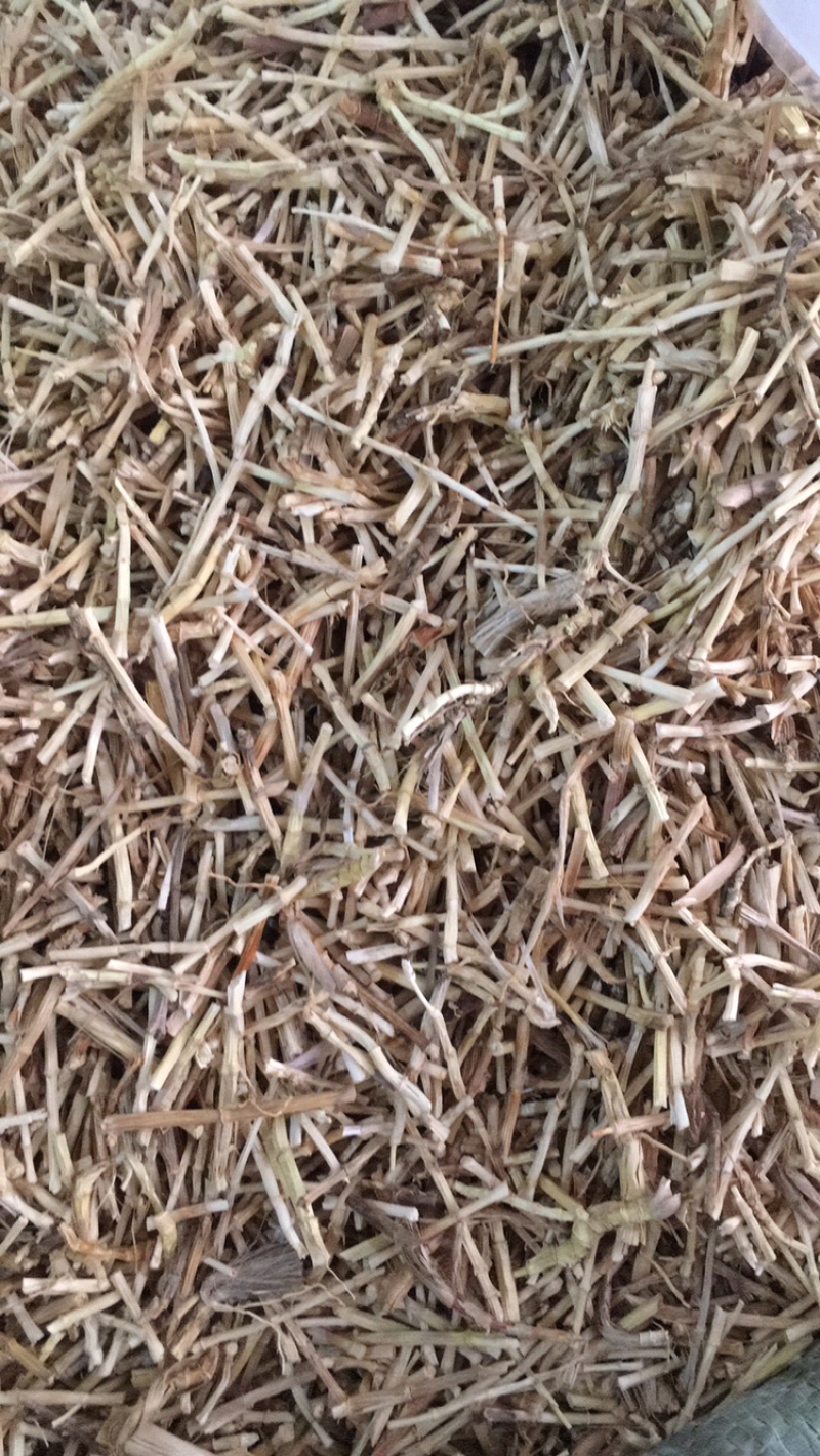 白茅根茅根中药材批发