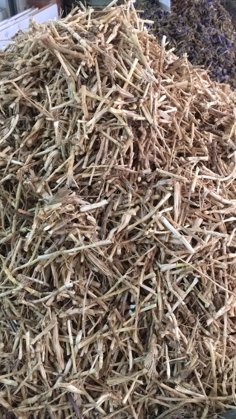白茅根茅根中药材批发
