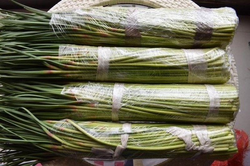 出售金乡新鲜蒜苔冷库蒜苔有意者联系