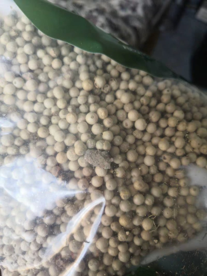 胡椒粒，胡椒白胡椒，白胡椒粒煲汤112222
