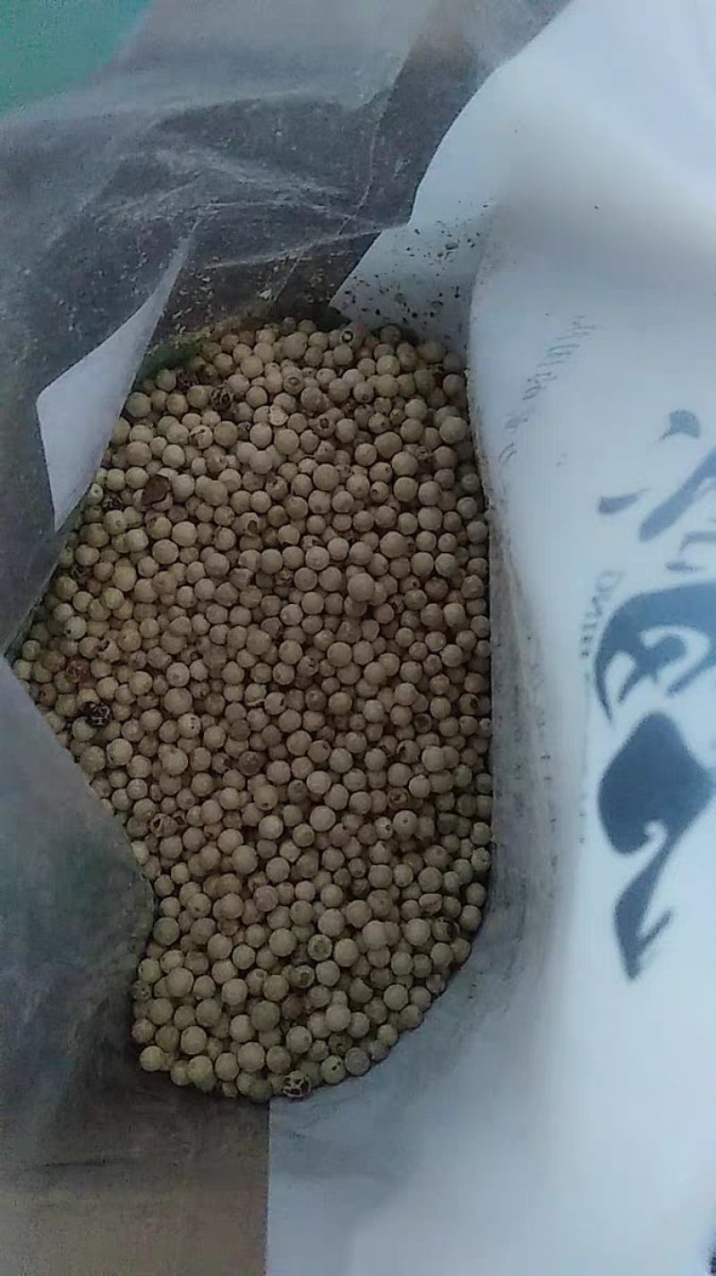 胡椒粒，胡椒白胡椒，白胡椒粒煲汤112222