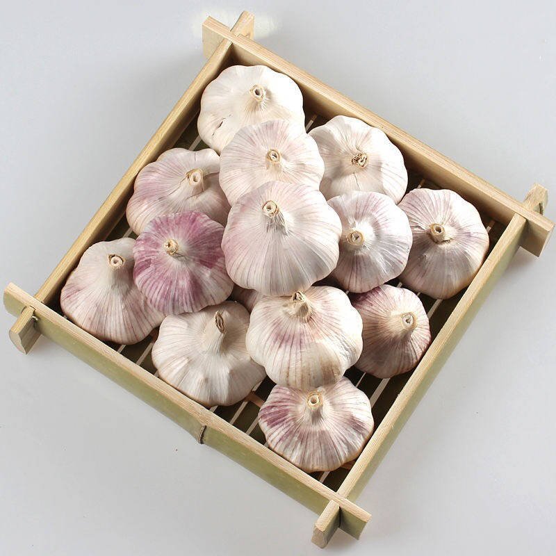 出售金乡大蒜，太空二号，个大皮厚，紫皮红亮。