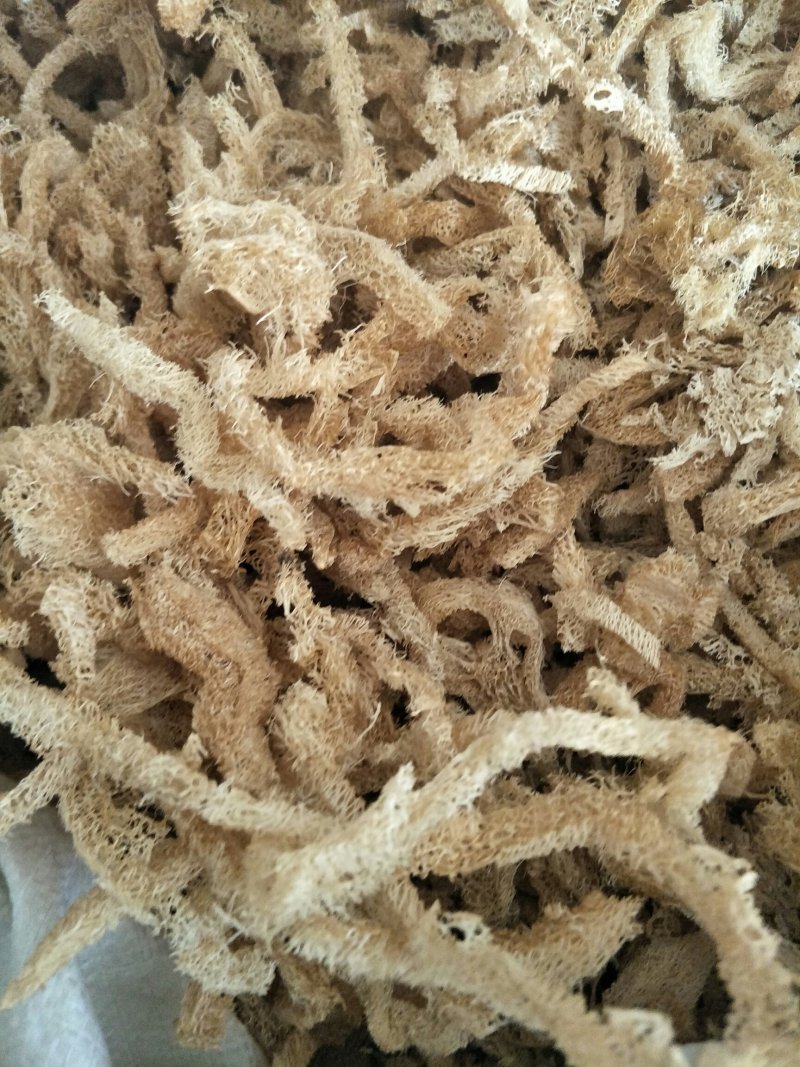 无硫丝瓜络江西货，亳州货
