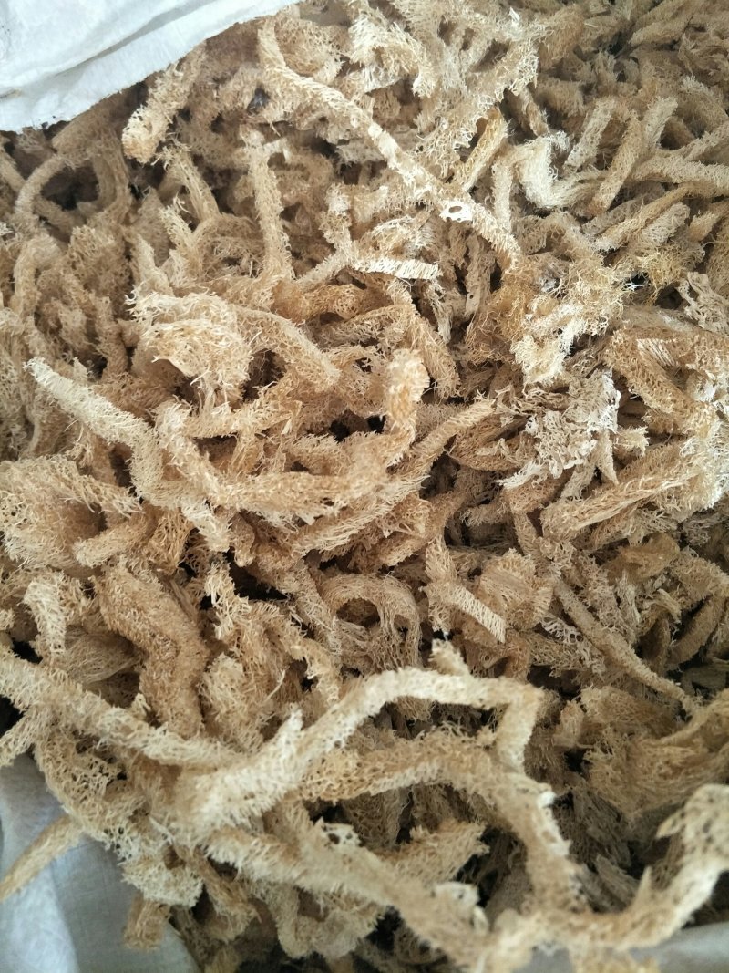 无硫丝瓜络江西货，亳州货