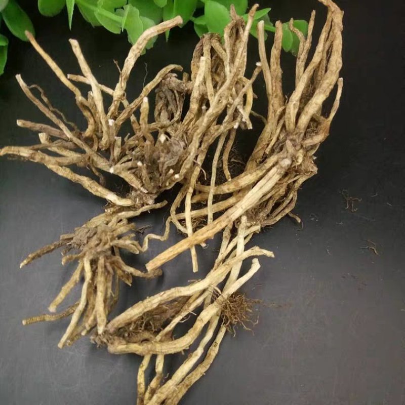 北龙胆草东北龙胆草个和片各种规格产地直销优质货