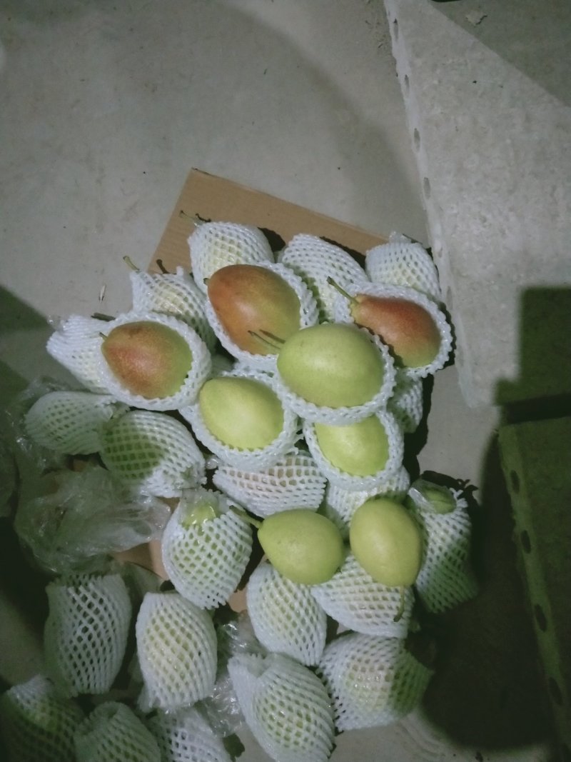 红香酥梨【赵县专业合作社】口感甜保质保量产地直销量大
