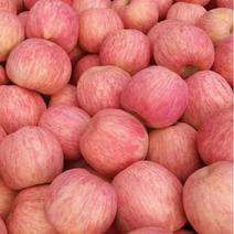 高原【红富士】苹果产地销售，质优价廉，保质保量全年供应