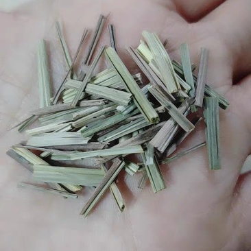 香茅草柠檬草批發正宗香茅草干柠檬香茅草11111