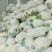 四川花菜成都蔬菜基地直供散花松花菜新鲜有机花菜