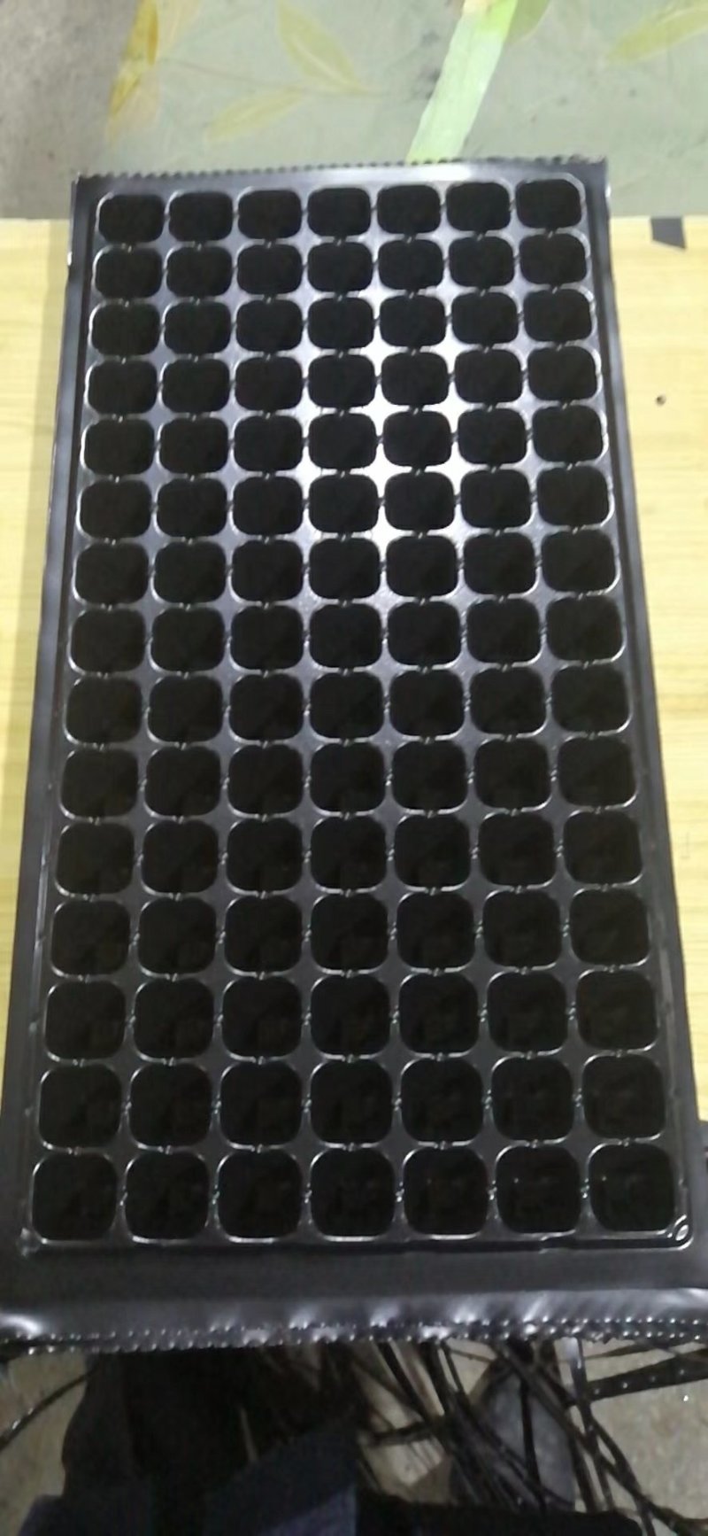 育苗穴盘，育苗基质，种苗，，欢迎你的加入