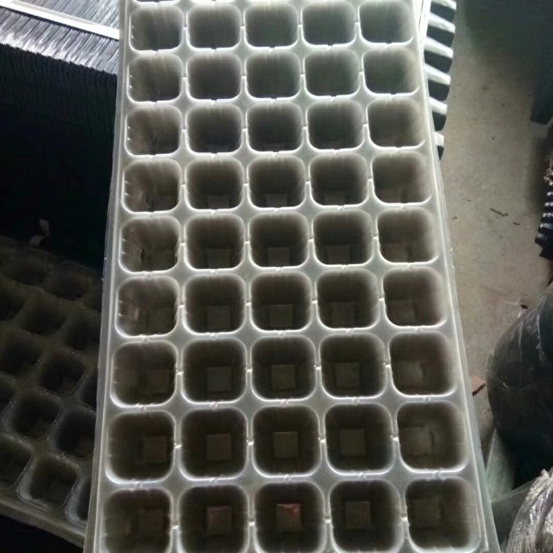 育苗穴盘，育苗基质，种苗，，欢迎你的加入