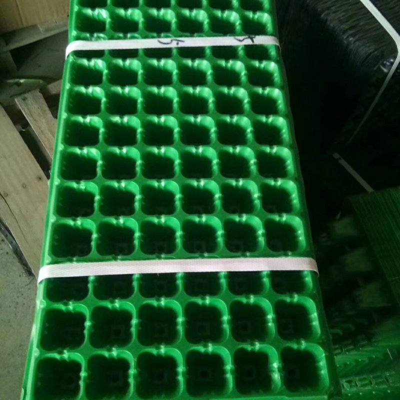 育苗穴盘，育苗基质，种苗，，欢迎你的加入