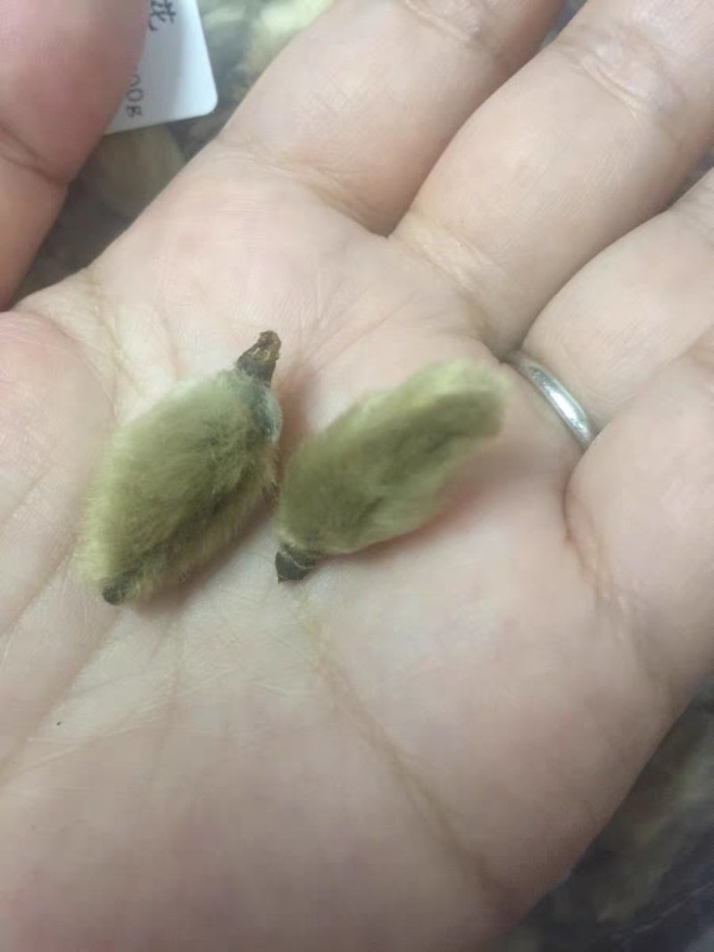 辛夷花毛桃5玉兰花天然特级调味料辛夷11111