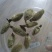 辛夷花毛桃5玉兰花天然特级调味料辛夷11111