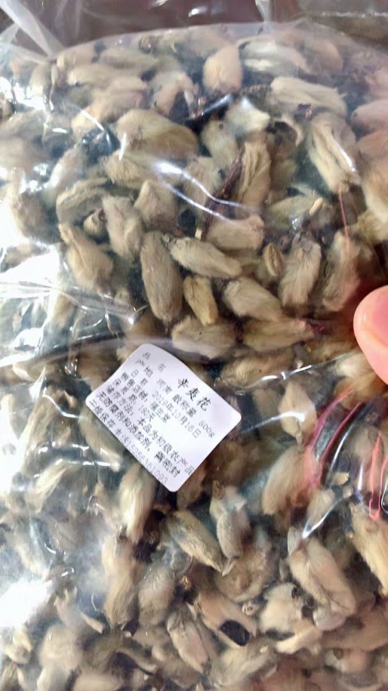 辛夷花毛桃5玉兰花天然特级调味料辛夷11111