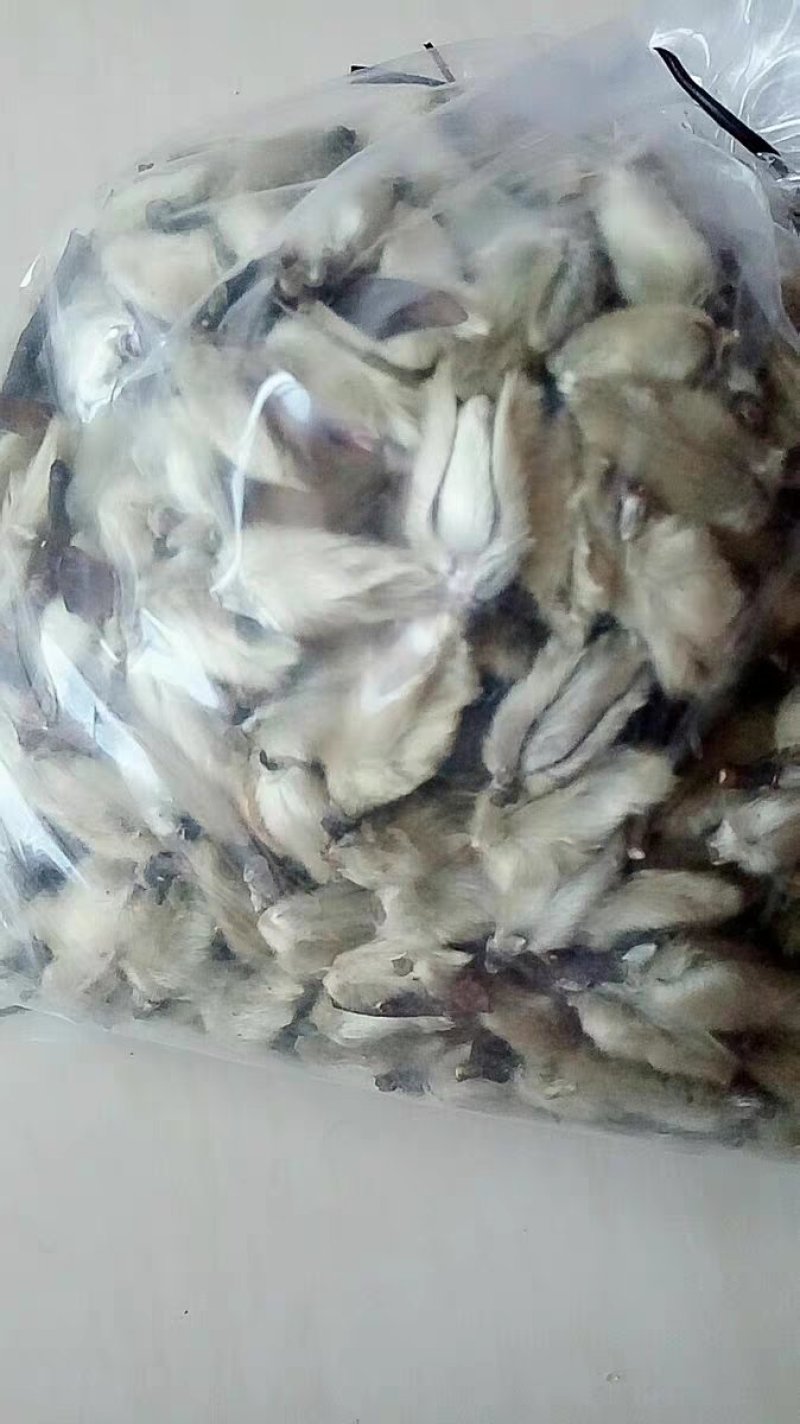辛夷花毛桃5玉兰花天然特级调味料辛夷11111