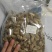 辛夷花毛桃5玉兰花天然特级调味料辛夷11111