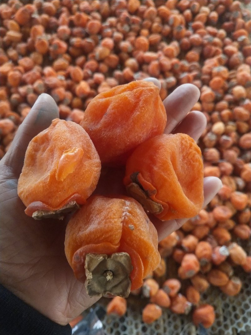 山东霜降柿饼
