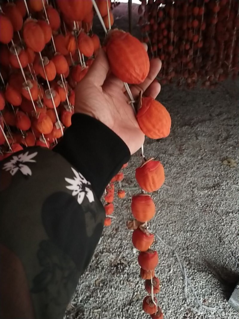 山东霜降柿饼