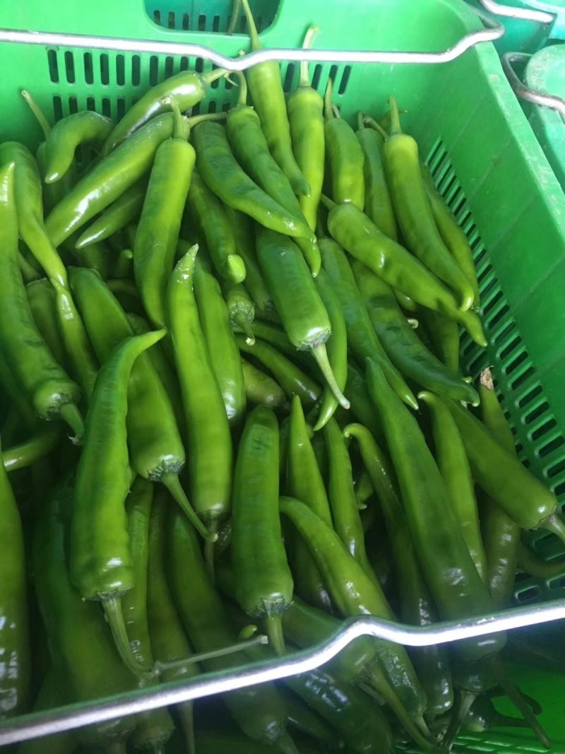 赣州蔬菜批发市场