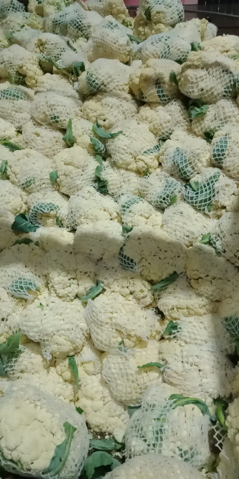 赣州蔬菜批发市场