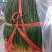 赣州蔬菜批发市场