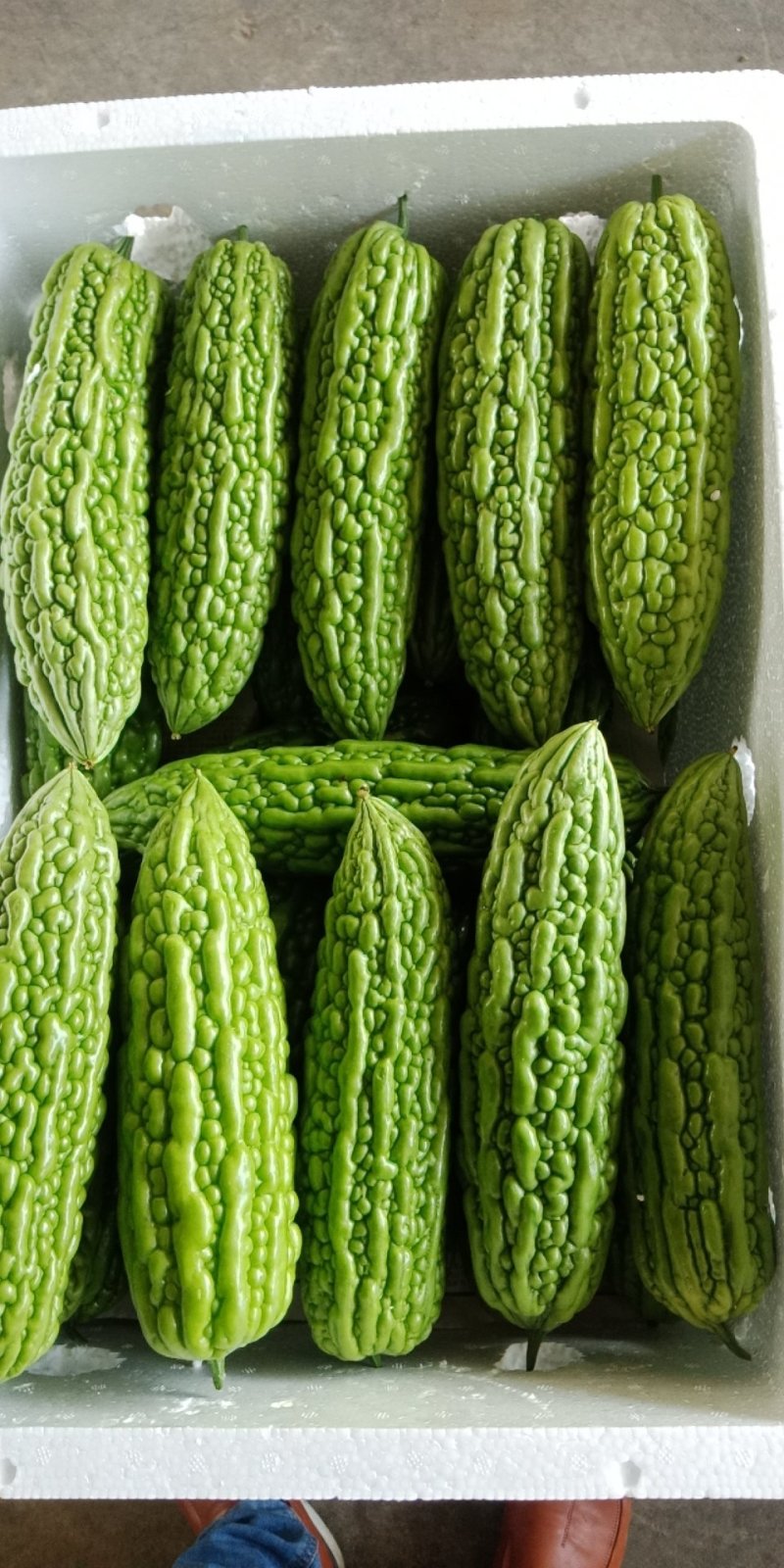 赣州蔬菜批发市场