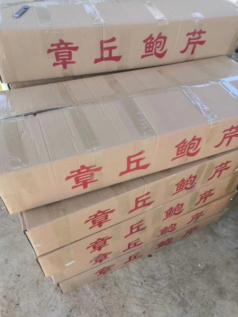 鲍芹常年基地供应量大从优质优价