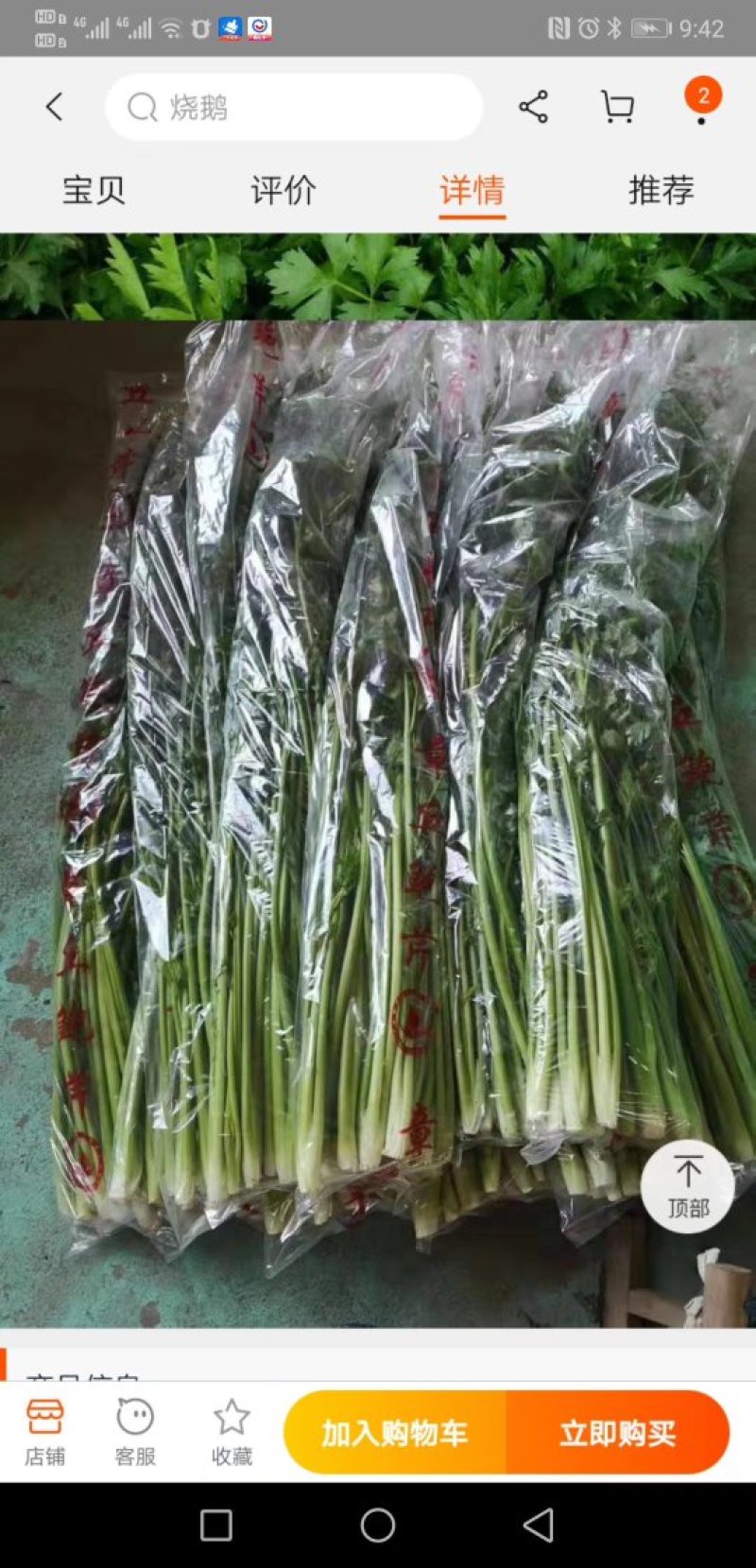 鲍芹常年基地供应量大从优质优价