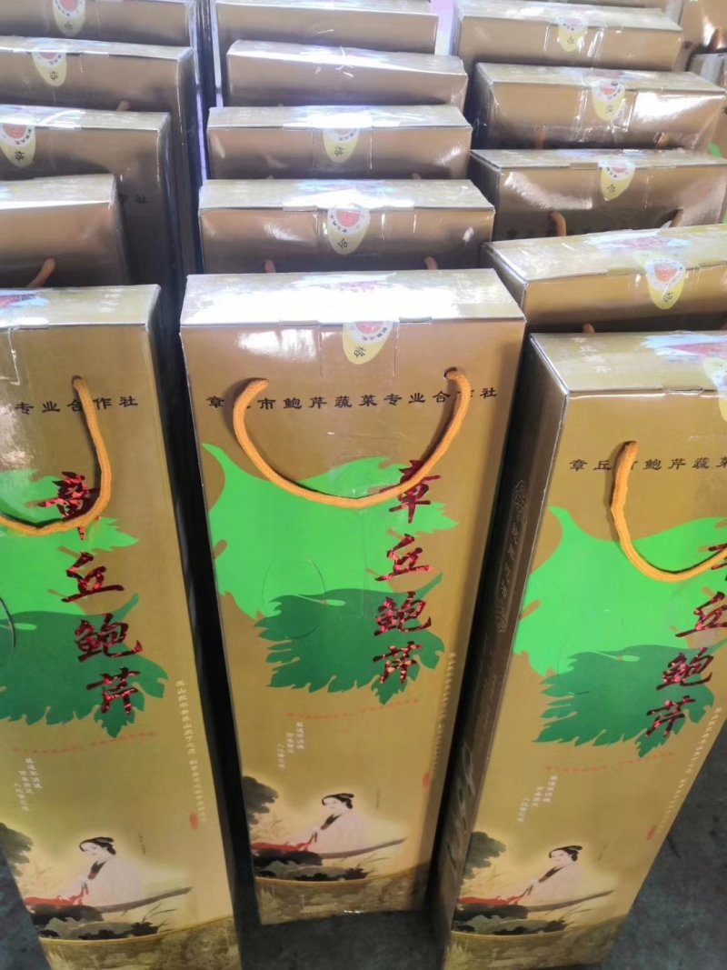 鲍芹常年基地供应量大从优质优价