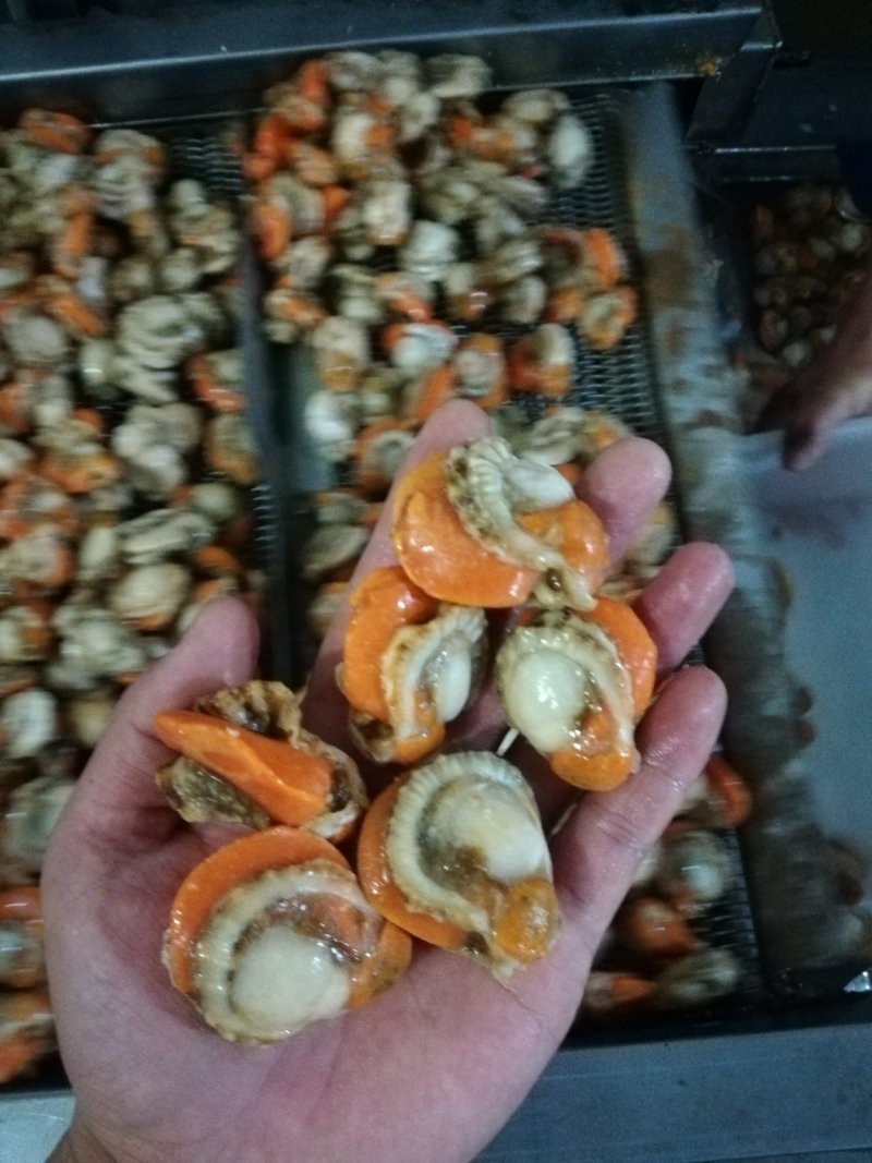 大个无沙扇贝肉，北城扇贝原汁扇贝肉保质保量12斤一件