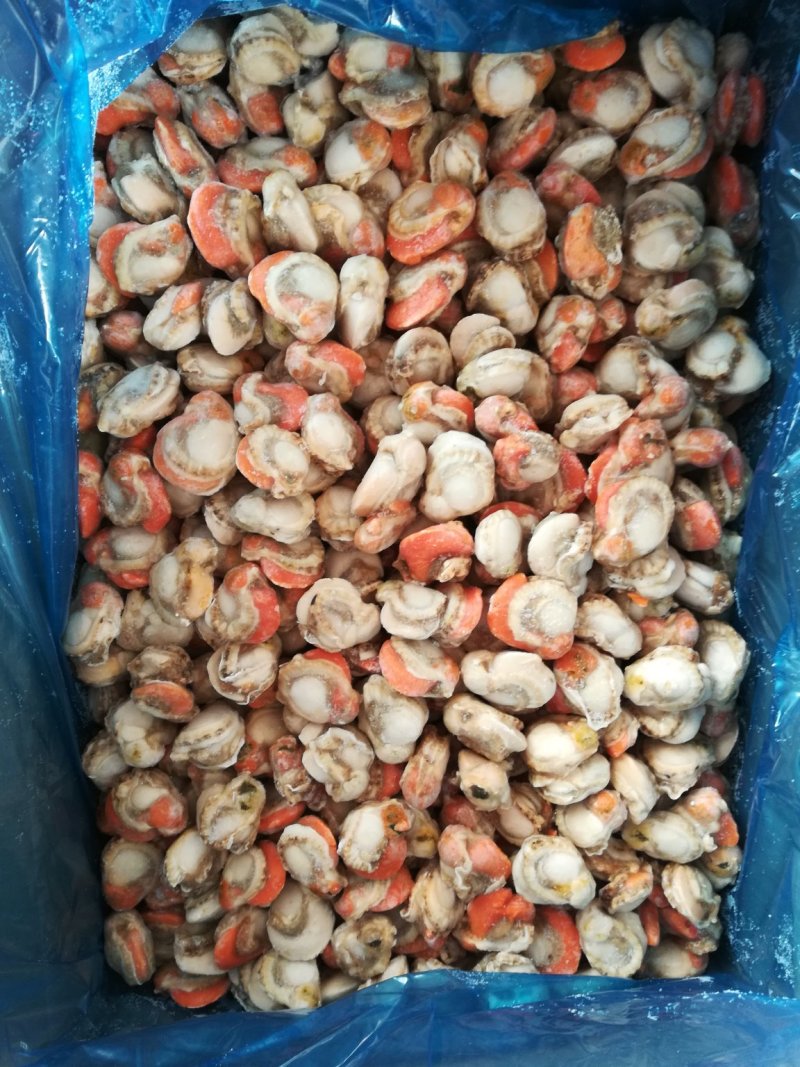 大个无沙扇贝肉，北城扇贝原汁扇贝肉保质保量12斤一件