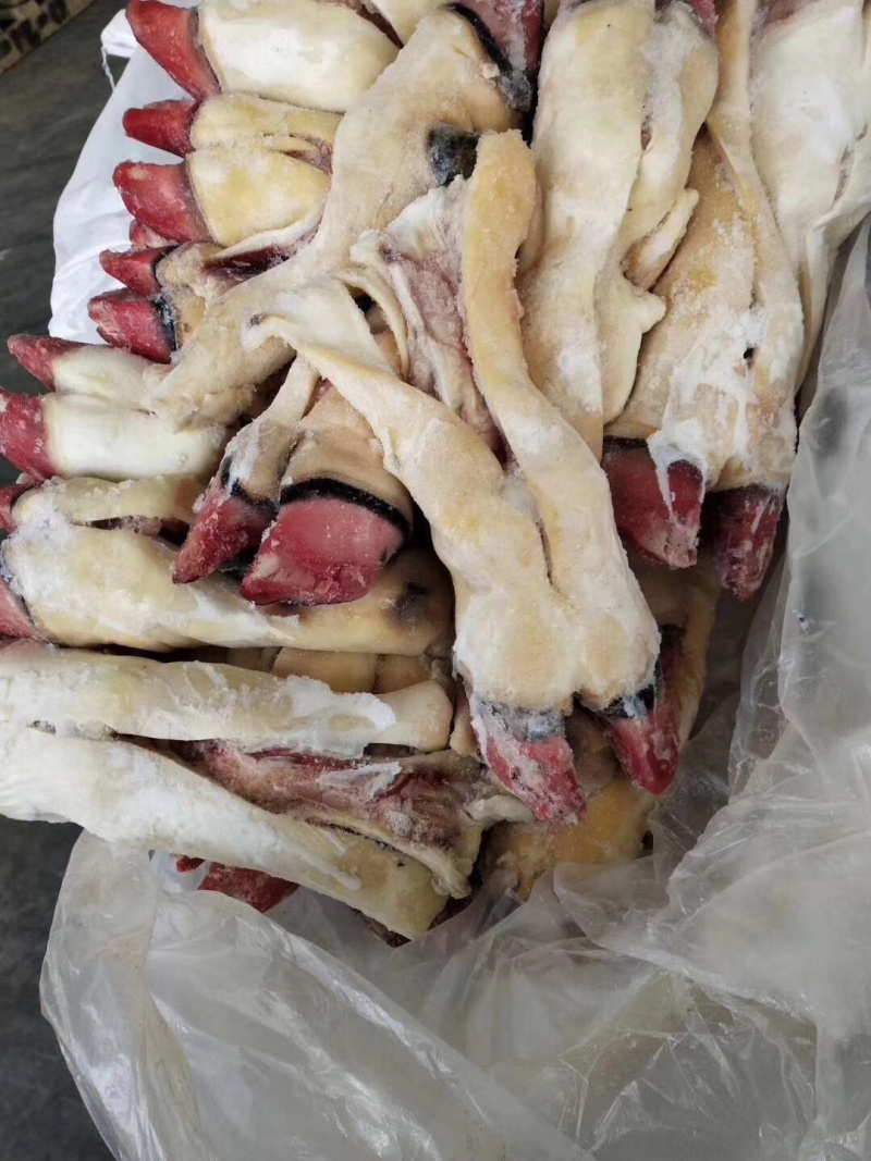 半去骨牛蹄厂家直销一手货源可供实地参考