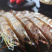 基围虾苗+沙虾苗+泥虾苗+技术指导+高收益+高利润