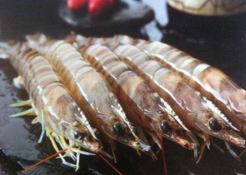 基围虾苗+沙虾苗+泥虾苗+技术指导+高收益+高利润