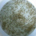 基围虾苗+沙虾苗+泥虾苗+技术指导+高收益+高利润
