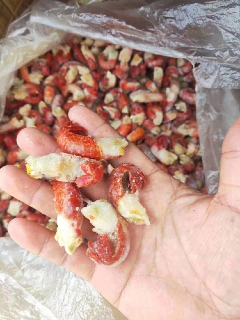 龙虾尾，无冰龙虾尾，现剥现发