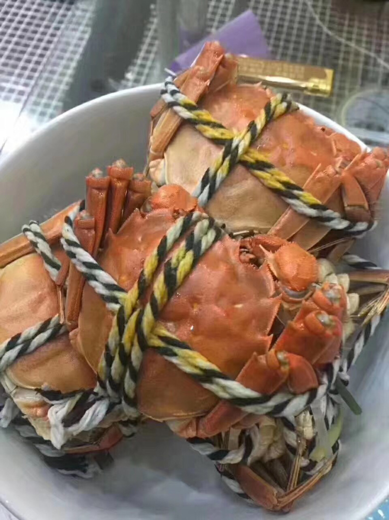 大闸蟹，鲜活发货，大闸蟹鲜活发货