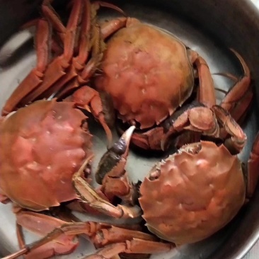 大闸蟹，鲜活发货，大闸蟹鲜活发货