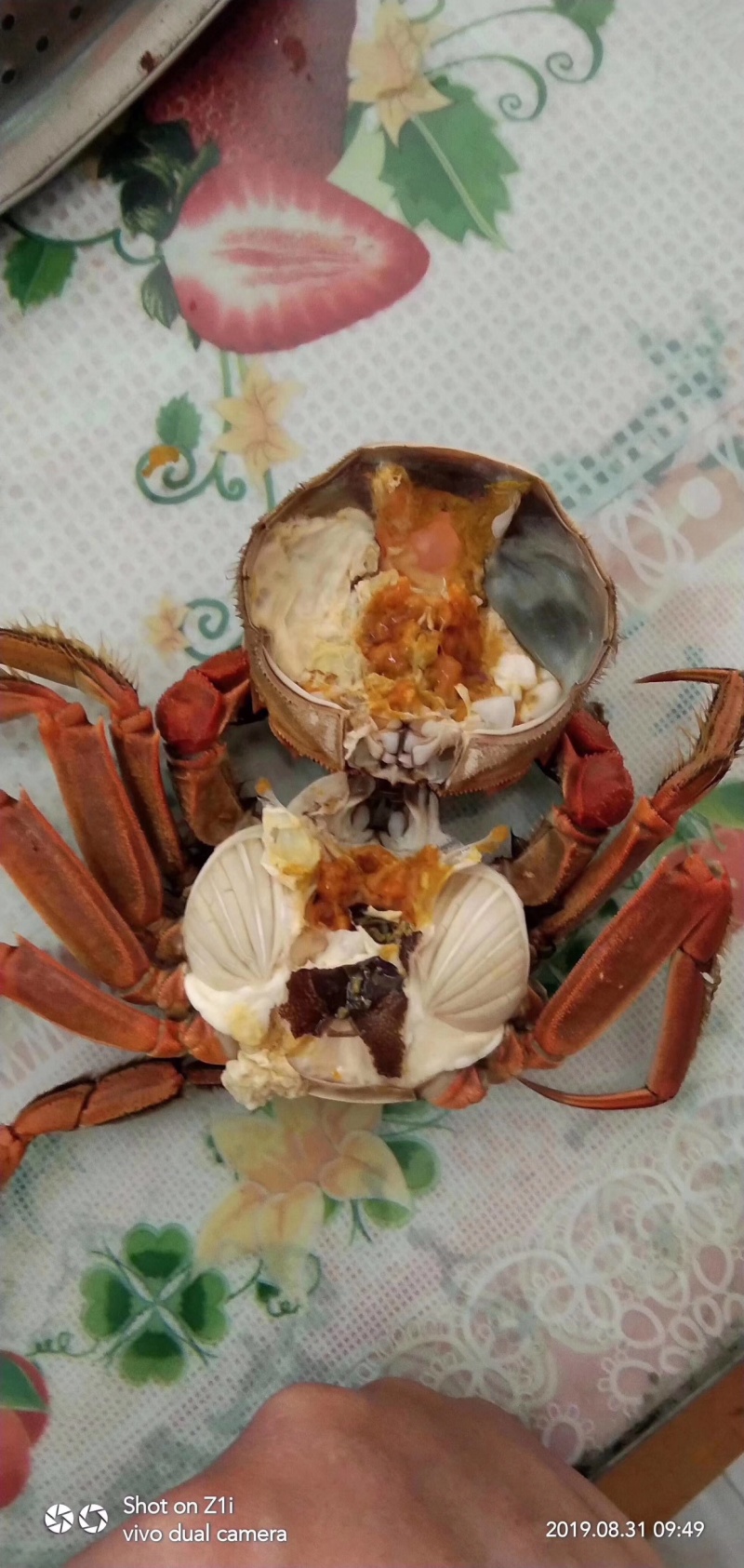 大闸蟹，鲜活发货，大闸蟹鲜活发货