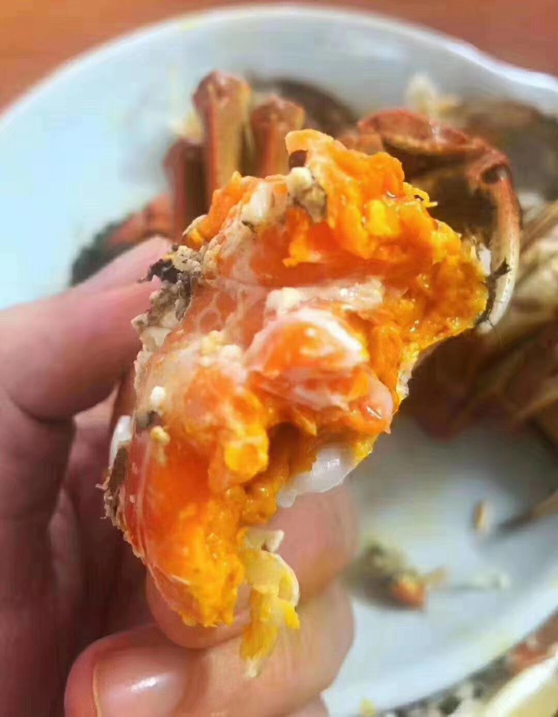 大闸蟹，鲜活发货，大闸蟹鲜活发货