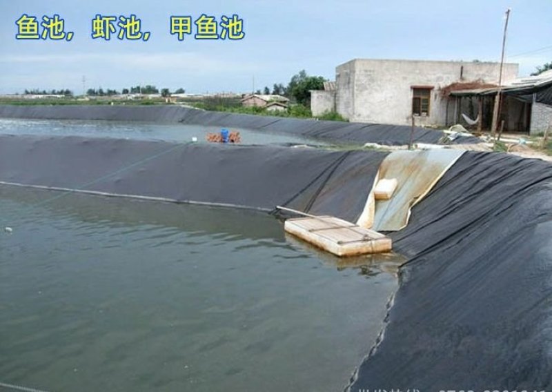 🔥黑色防渗膜鱼塘鱼池防水膜水产养殖藕池膜土工膜