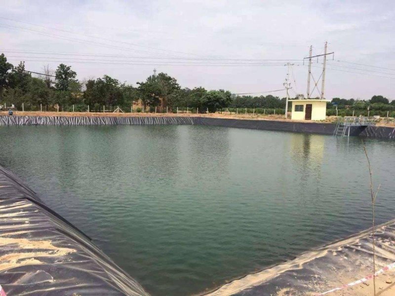 🔥黑色防渗膜鱼塘鱼池防水膜水产养殖藕池膜土工膜