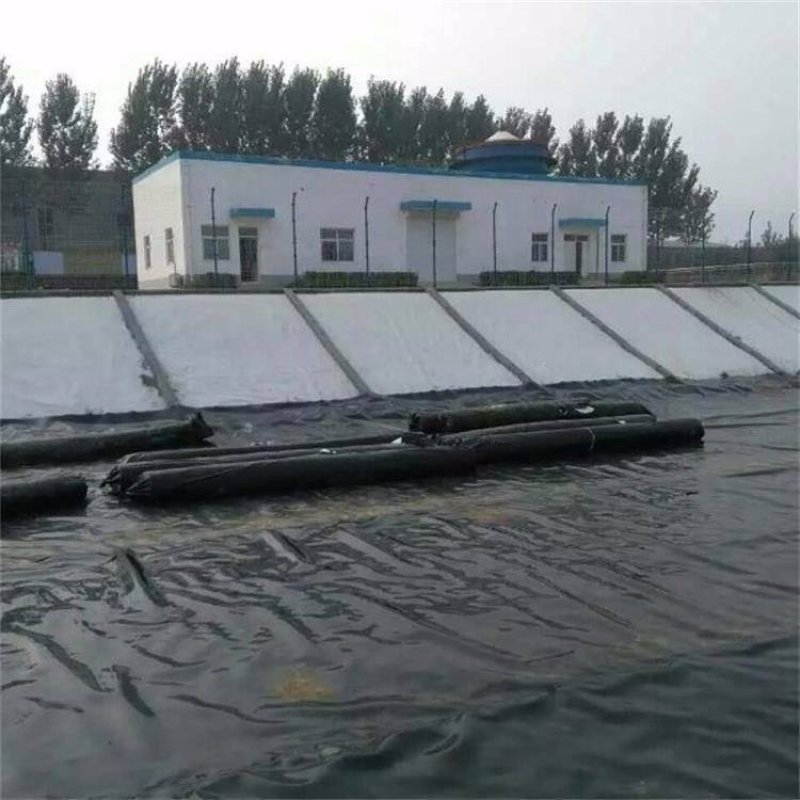 🔥黑色防渗膜鱼塘鱼池防水膜水产养殖藕池膜土工膜
