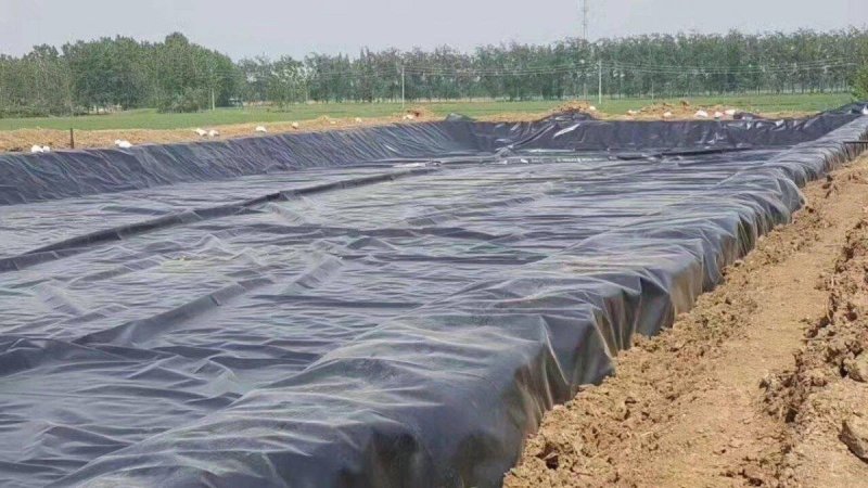 🔥黑色防渗膜鱼塘鱼池防水膜水产养殖藕池膜土工膜
