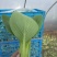 小青菜，质量好，青杆大叶面上海青，油菜量大从优