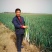 河南黄河滩自家种植新鲜大葱，绿色无公害，新鲜直达