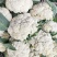 温州花菜大量上市
