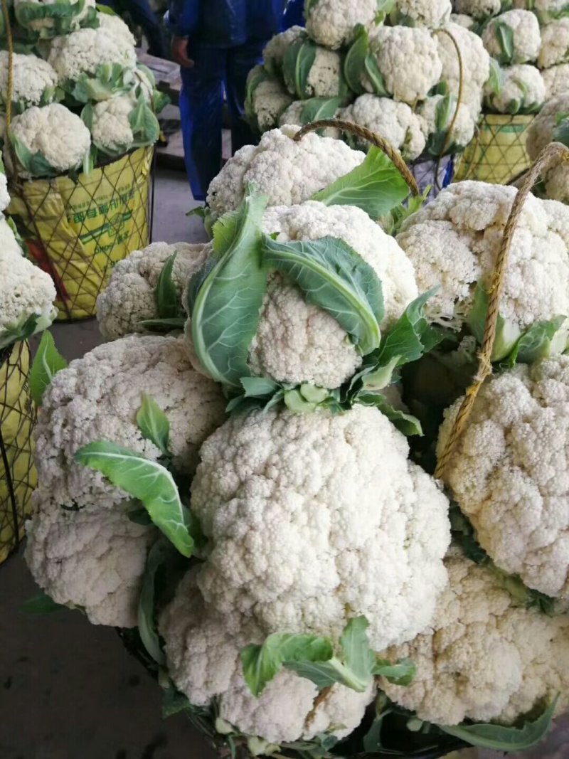 有机花菜精品量大，代发全国，保证质量有要的抓紧联系